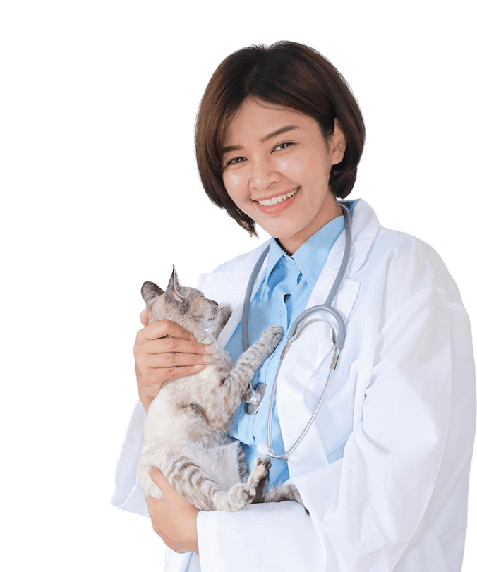 สัตวแพทย์ผู้เชี่ยวชาญ PetFam