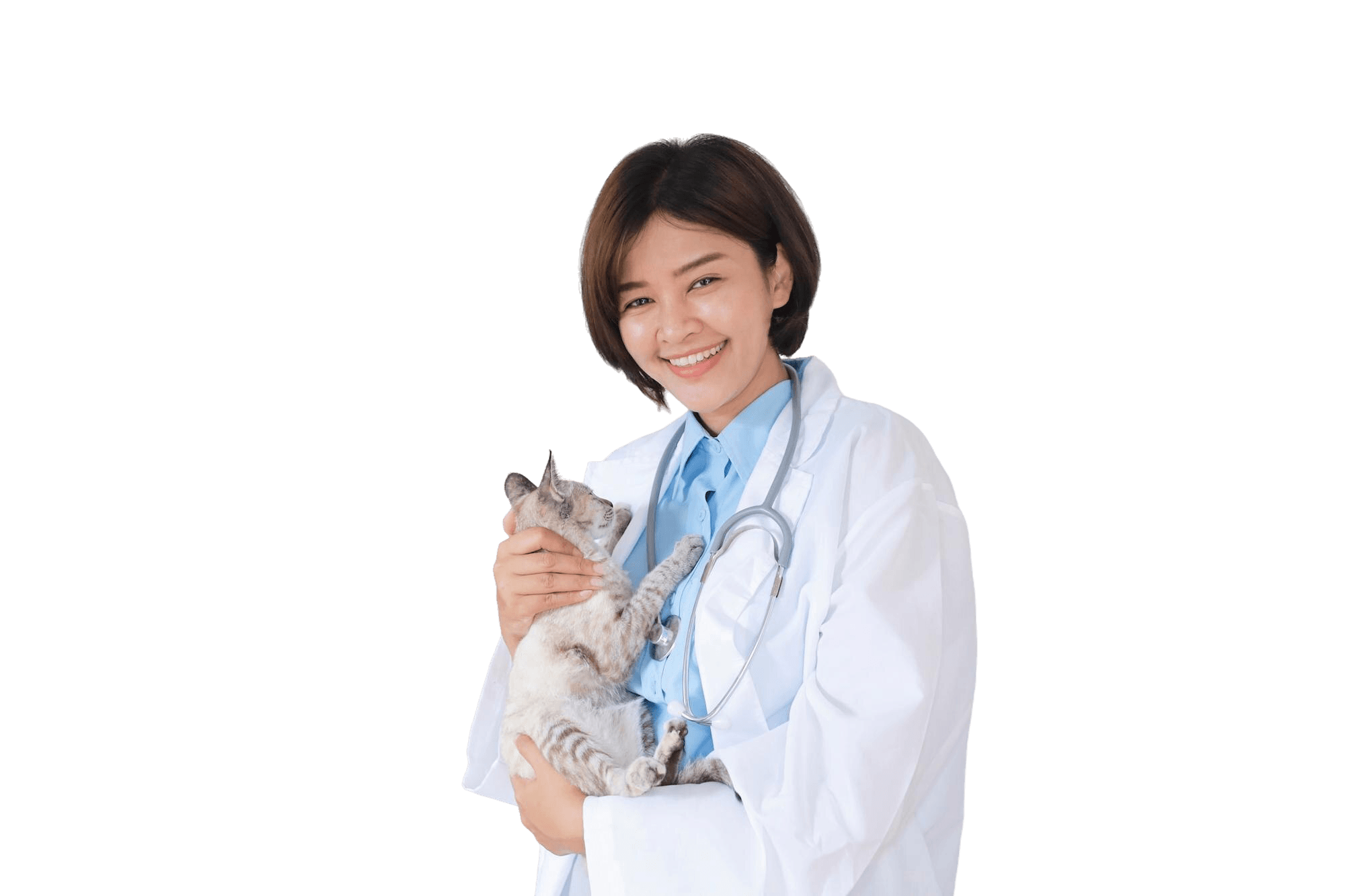 สัตวแพทย์ผู้เชี่ยวชาญ PetFam